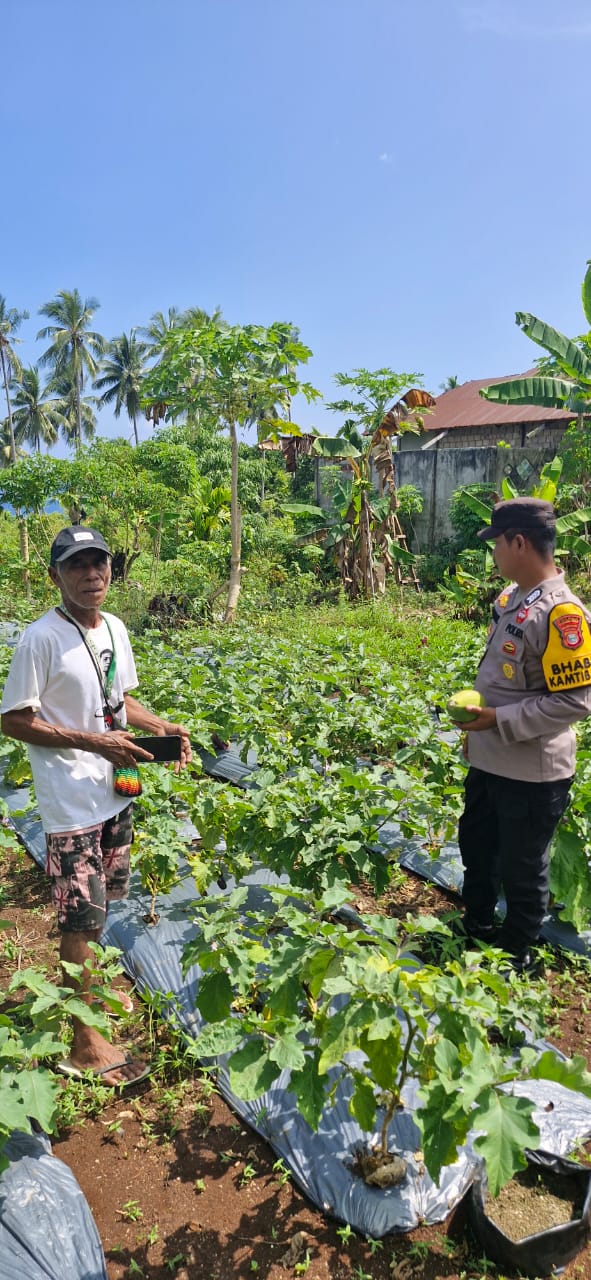 Polres Halteng silahturahmi ke petani,Mendukung Program Ketahanan Pangan Nasional.