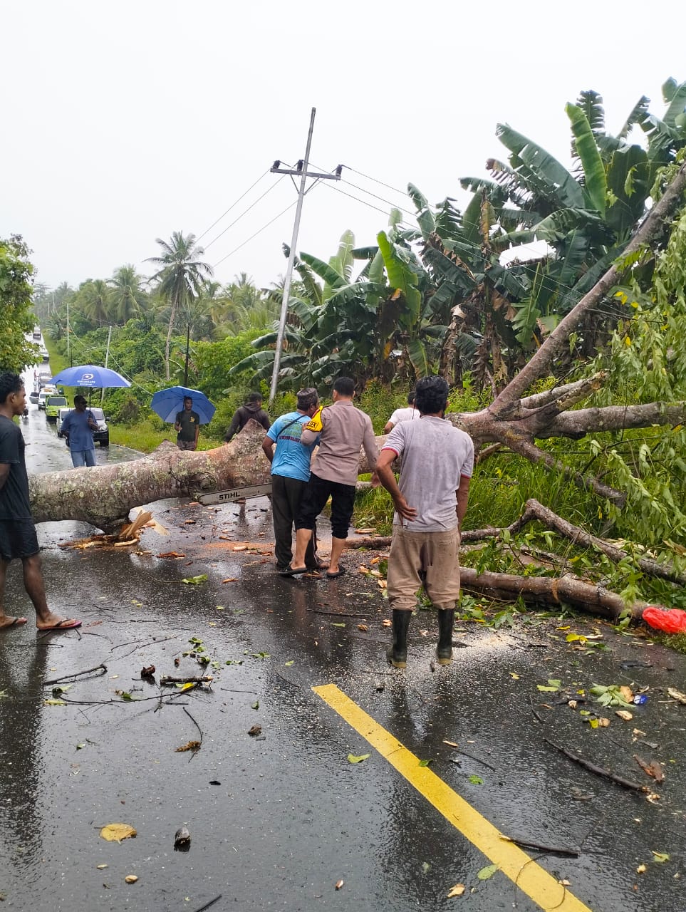 Kapolsek Morotai Selatan Barat dan Warga Gotong Royong Bersihkan Pohon Tumbang