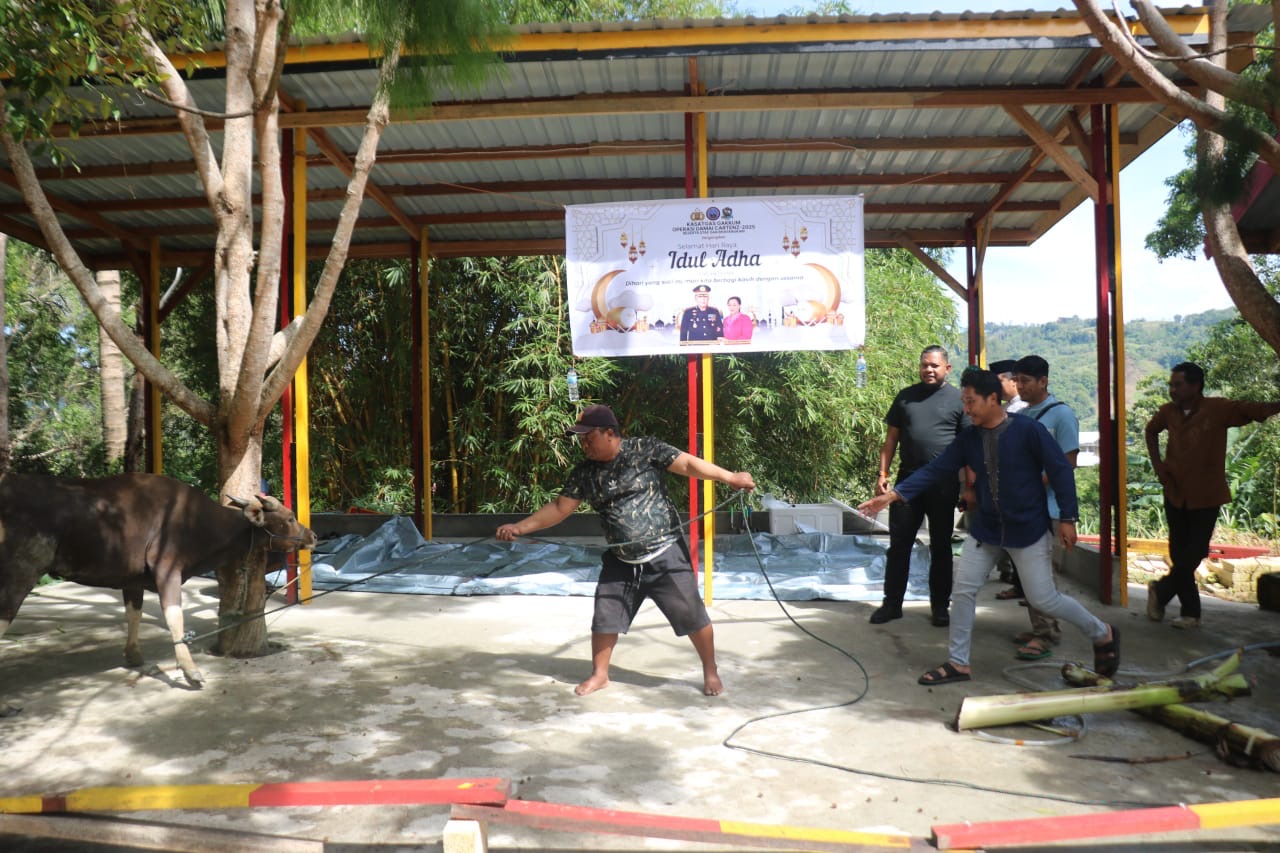 Satgas Gakkum ODC-2025 sembelih 2 ekor sapi di Posko Jayapura dalam rangka Idul Adha 1446 H