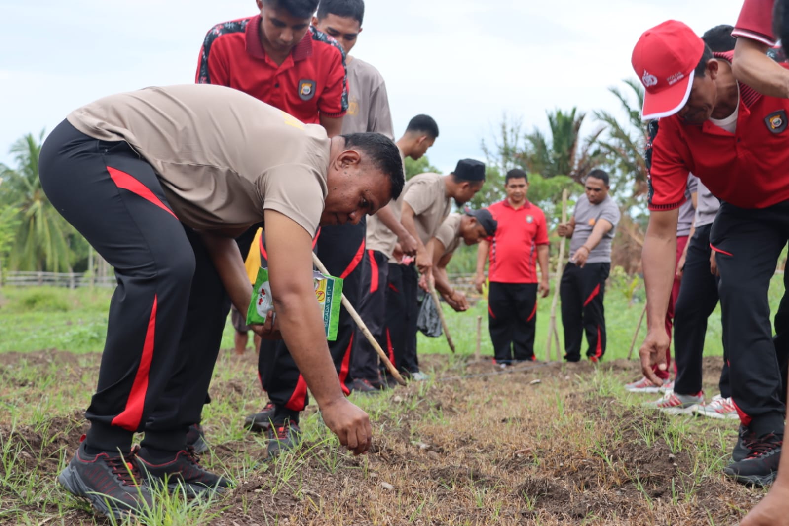 Polresta Tidore Gelar Penanaman Jagung Dukung Swasembada Pangan 2025