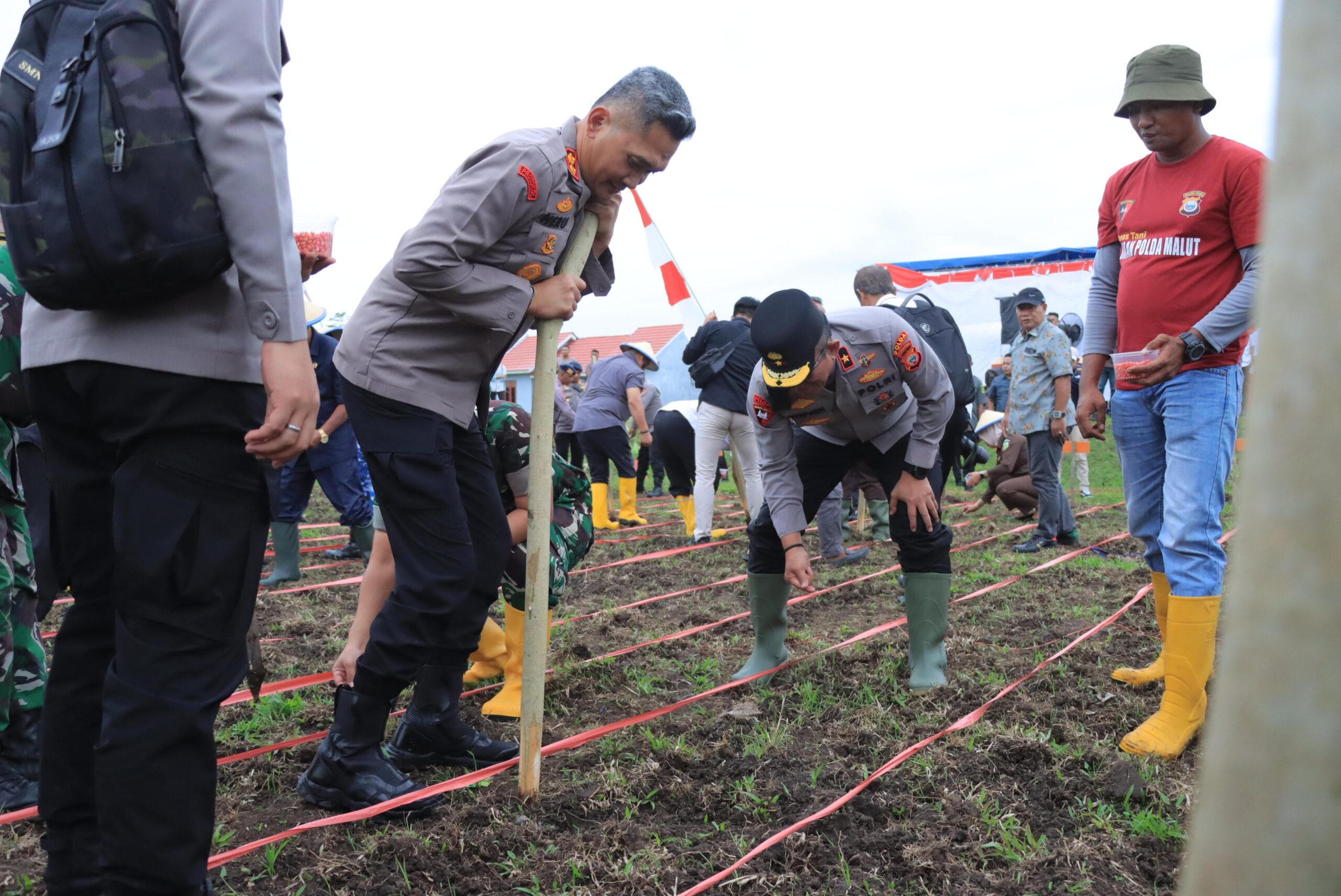 Wakapolda Malut Hadiri Penanaman Jagung Serentak Dukung Ketahanan Pangan Nasional