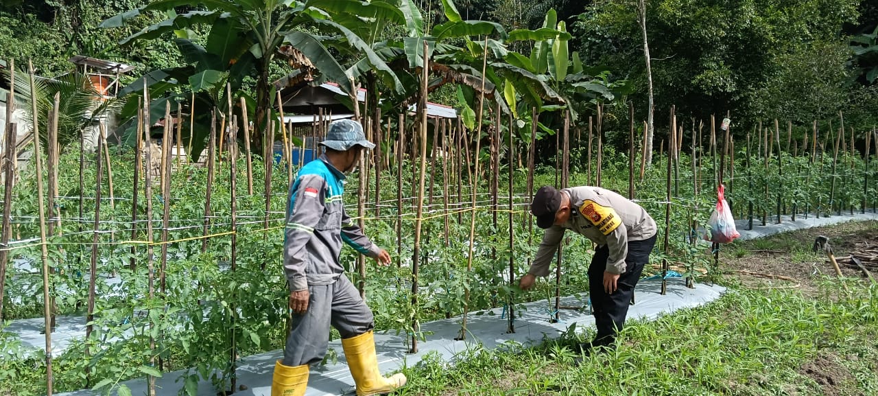 BHABINKAMTIBMAS SEBAGAI PENGGERAK KETAHANAN PANGAN