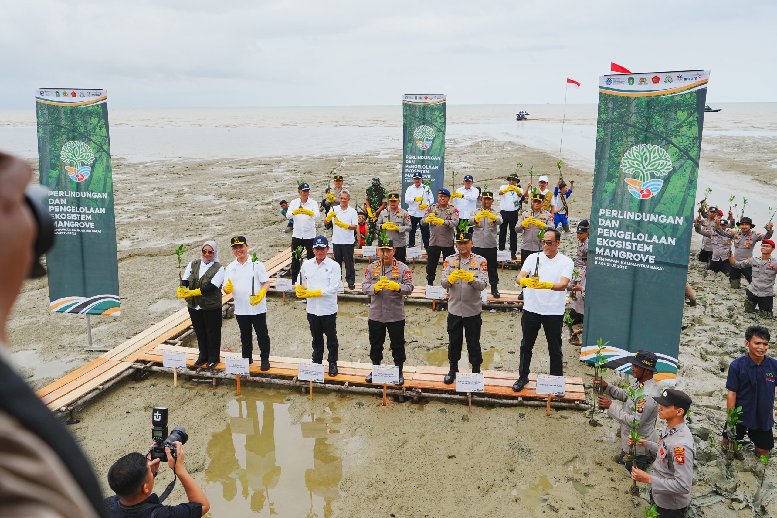 Tanam Mangrove di Kalbar, Kapolri: Jaga Lingkungan untuk Masa Depan Anak-Cucu Kita