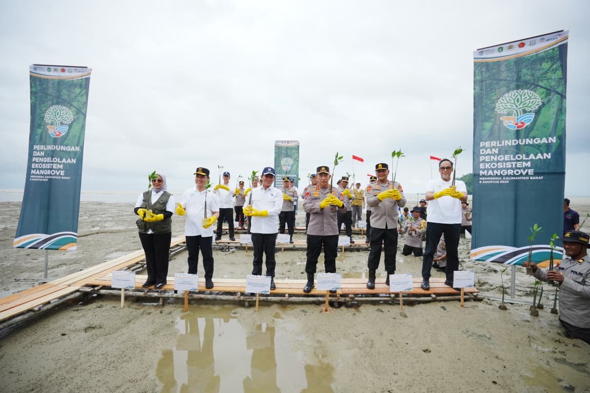 Kapolri dan Menteri LH Tanam Mangrove di Kalbar, Dorong Kepedulian Untuk Lestarikan Lingkungan