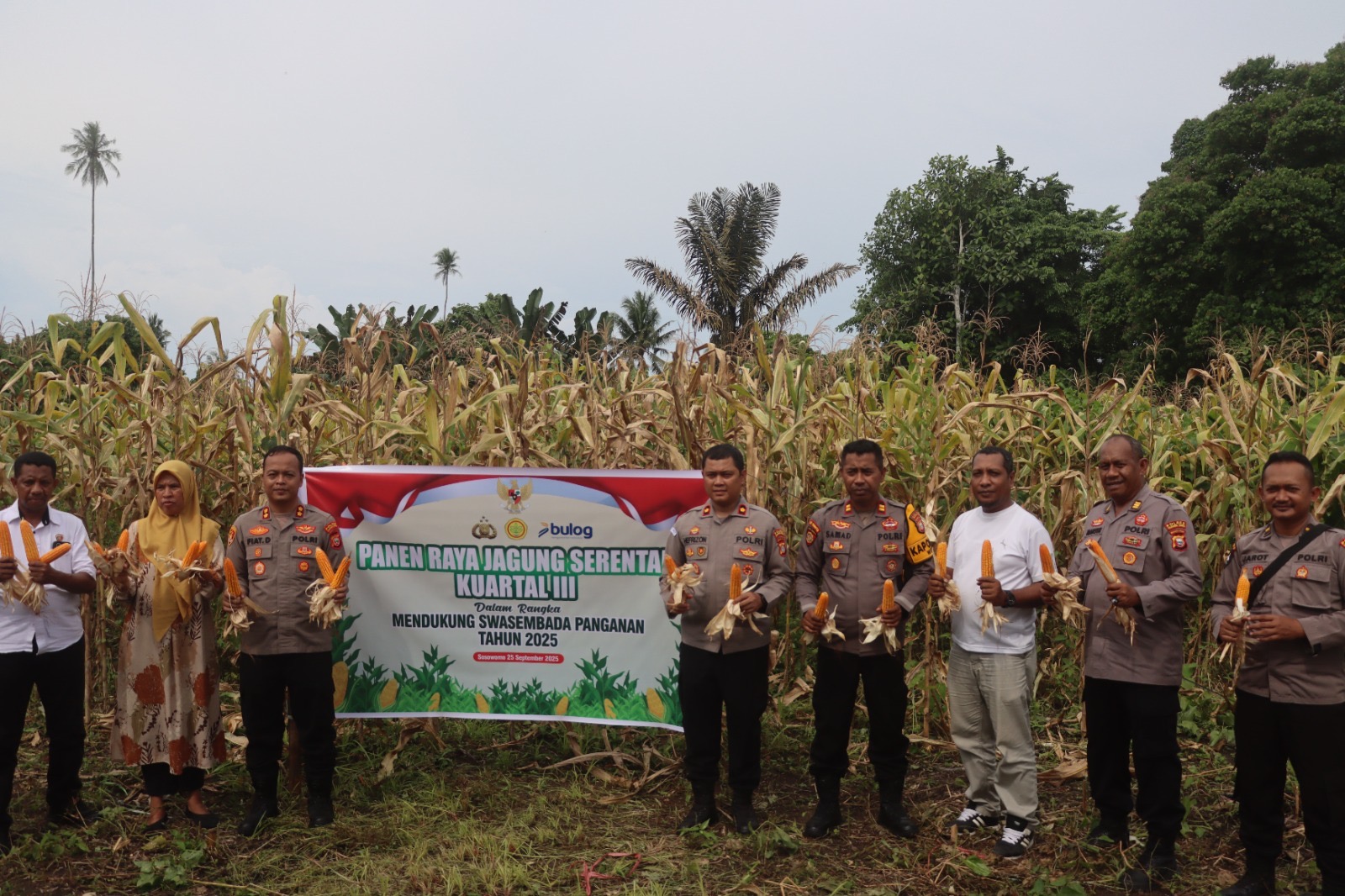 POLRES HALMAHERA TENGAH GELAR PANEN RAYA JAGUNG SERENTAK KUARTAL III DI DESA TILOPE, DUKUNG SWASEMBADA PANGAN 2025