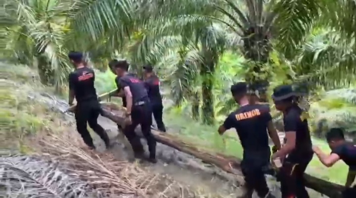 Brimob Polda Kaltara Membangun Jembatan Roboh di Tapal Batas, Sebatik Tengah