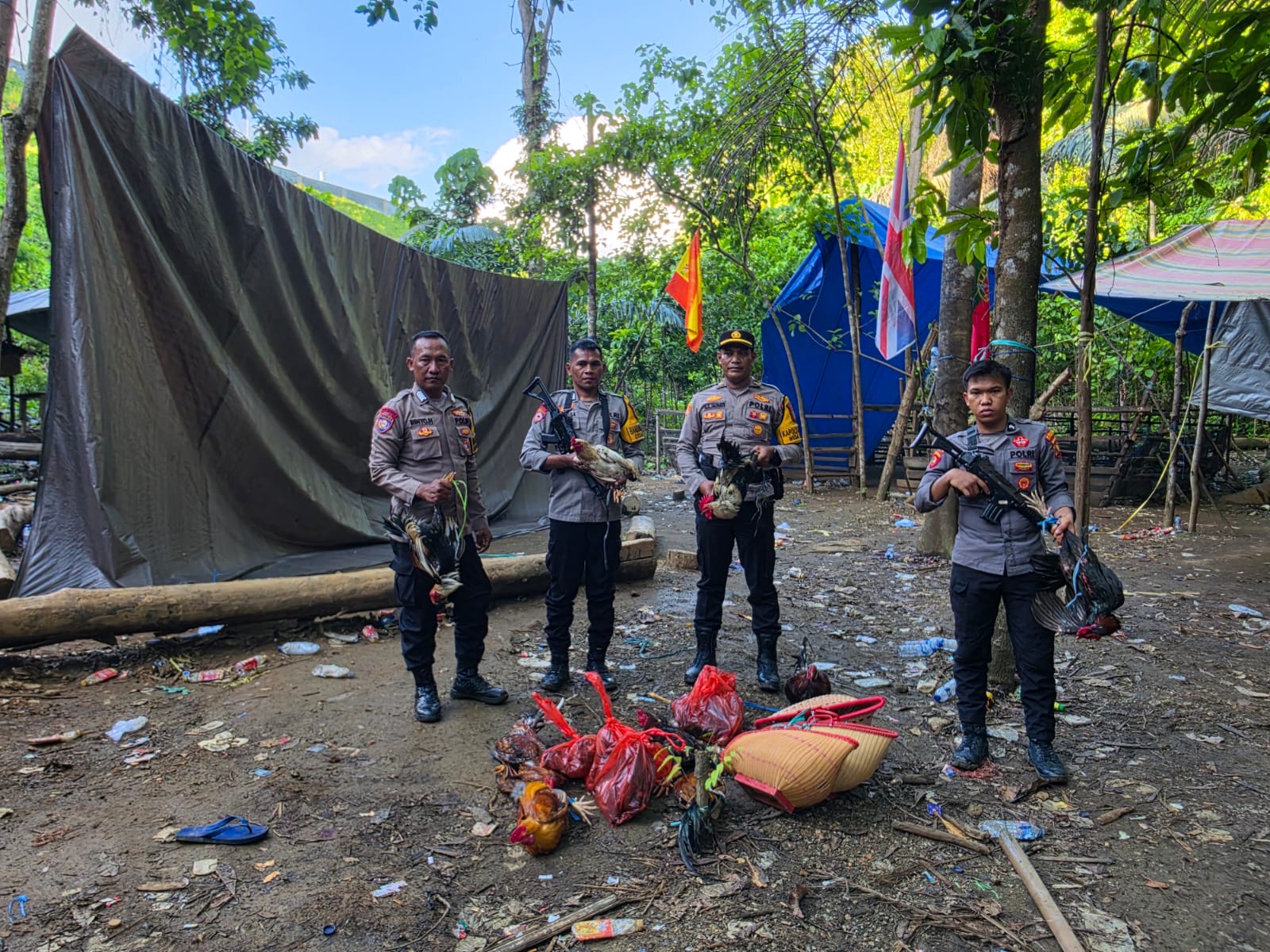 Polsubsektor Weda Tengah Tindak Tegas Arena Judi Sabung Ayam di Halmahera Tengah