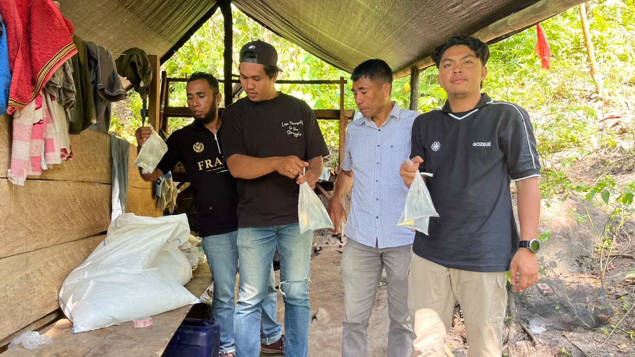 Satresnarkoba Polres Halmahera Barat Amankan 100 Kantong Miras Cap Tikus, Gagalkan Rencana Peredaran ke Weda