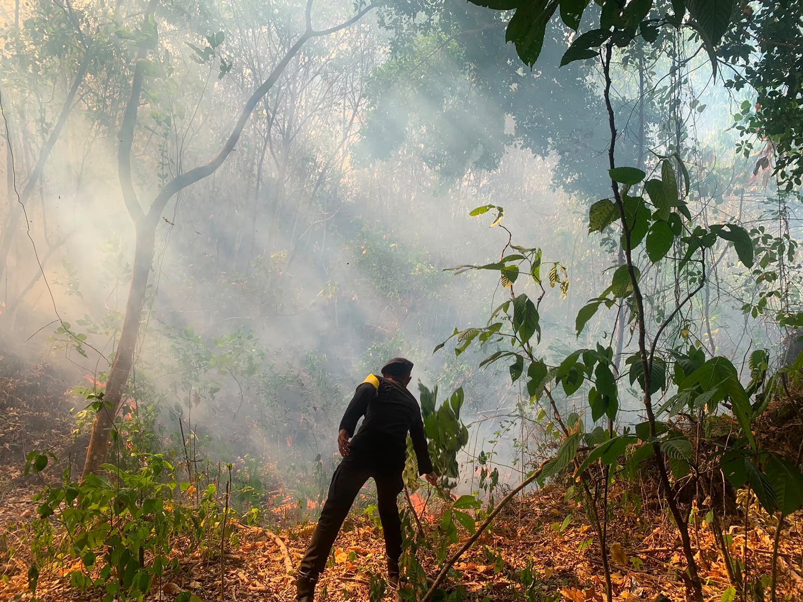 Respons Cepat Brimob Malut Padamkan Kebakaran Perkebunan Warga di Tubo