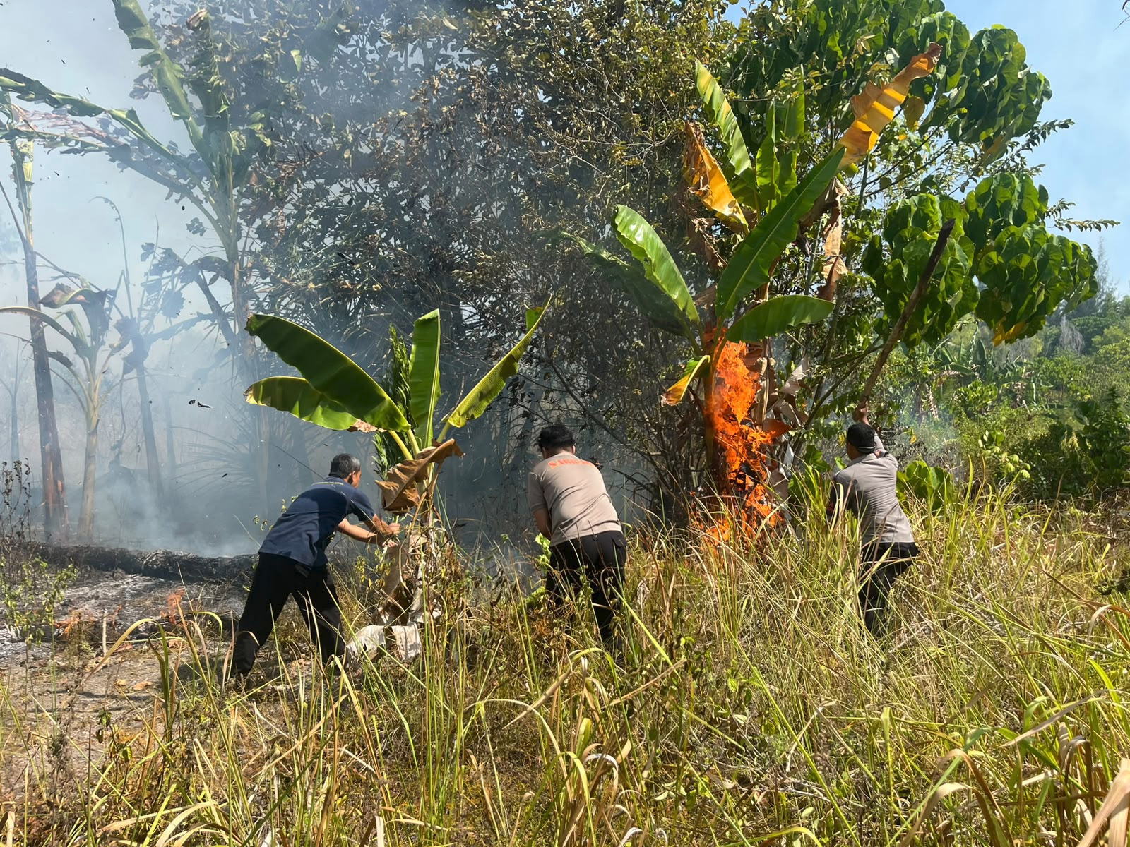 Polres Pulau Morotai Respons Cepat Atas Laporan Warga, Api di Daloha Resort Berhasil Dipadamkan