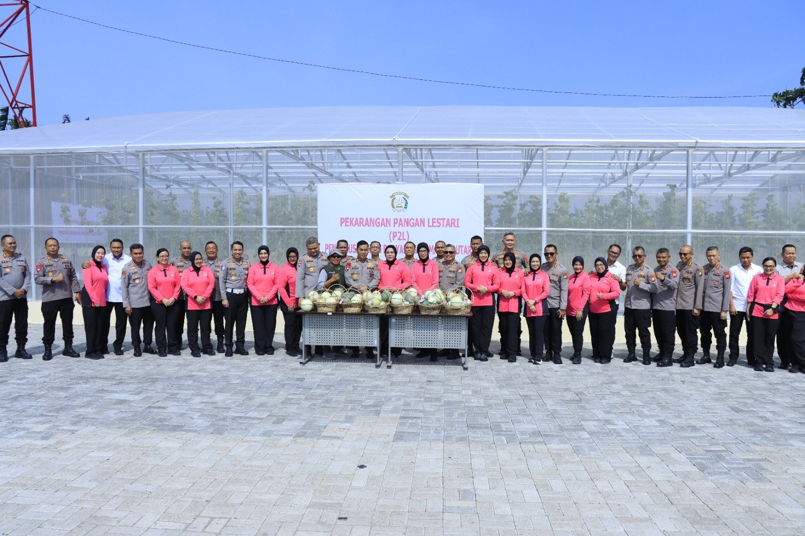 Panen Melon Hidroponik, Kapolda Malut Ajak Masyarakat Manfaatkan Lahan Terbatas