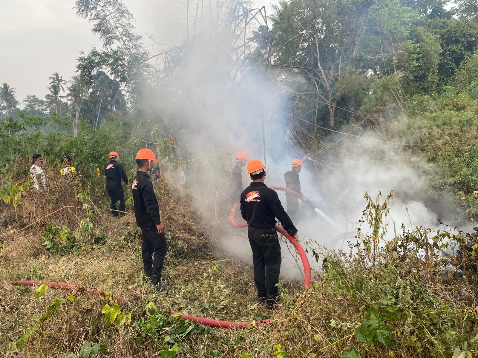 Brimob Polda Malut Gerak Cepat, Kebakaran Lahan di Tobelo Selatan Terkendali
