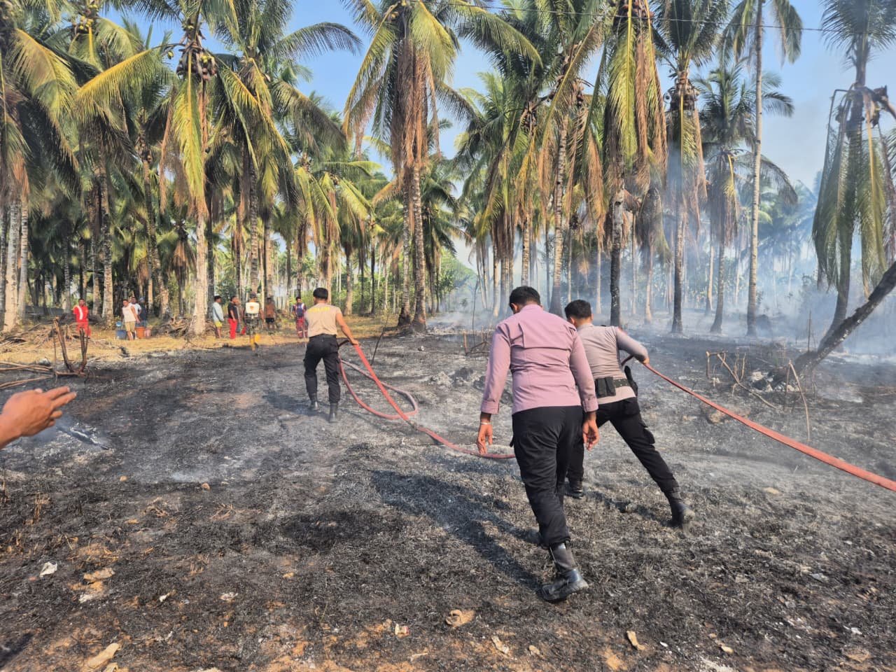Kebakaran Lahan di Dekat SPBU Gotalamo, Personel Polres Pulau Morotai Gerak Cepat Padamkan Api