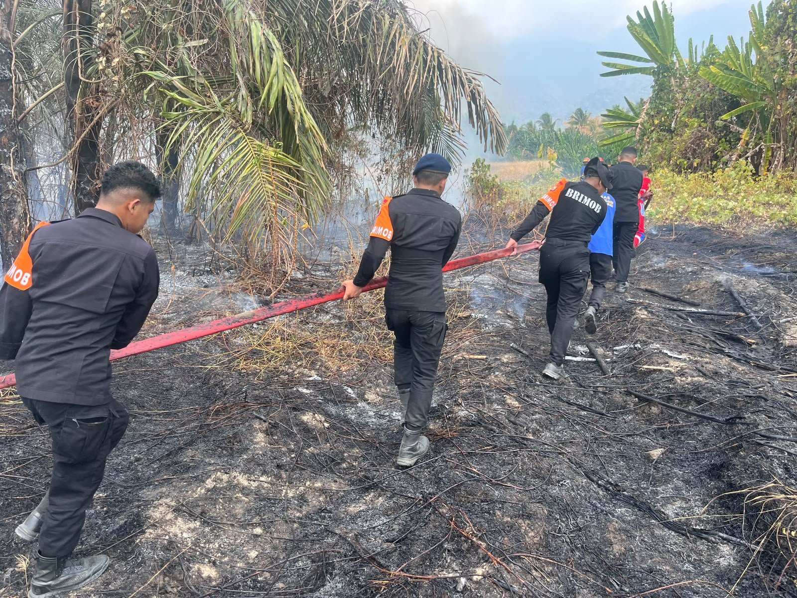 Respons Sigap Brimob, Kebakaran Lahan di Bacan Selatan Berhasil Dikendalikan