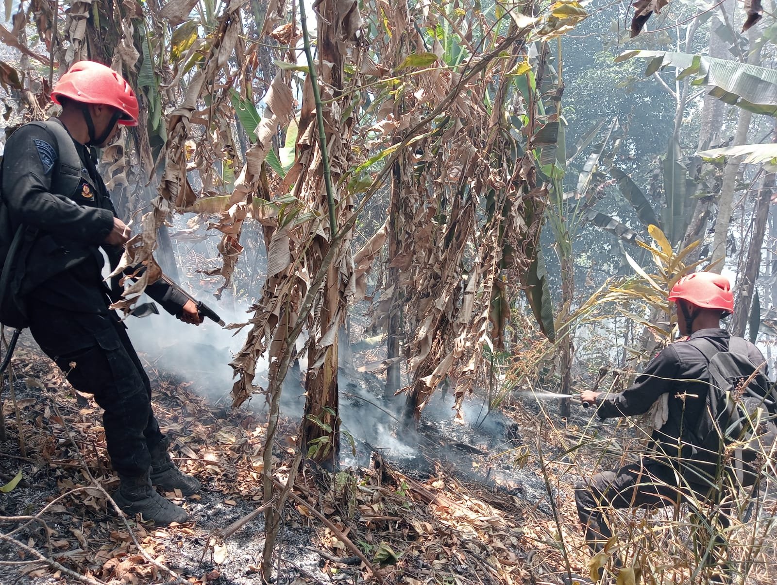 Respons Cepat Brimob Padamkan Karhutla di Taman Love Ternate
