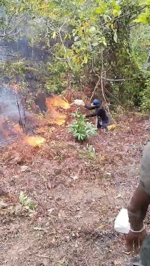 polri bersama tim gabungan terus kendalikan karhutla di pulau taliabu