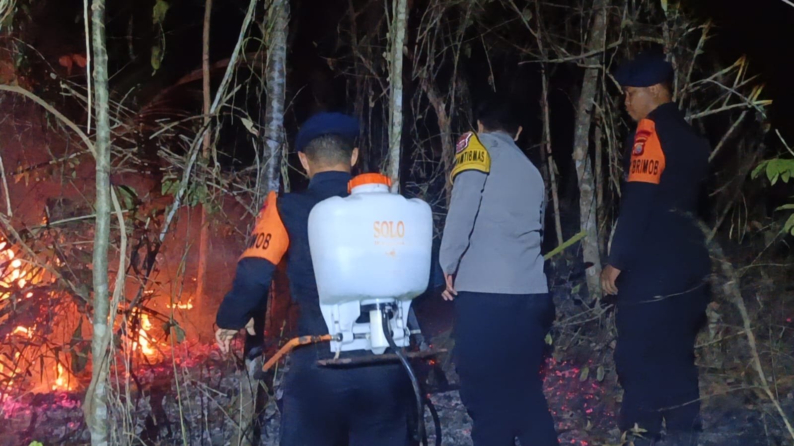 Brimob dan Polsek Jailolo Selatan Padamkan Karhutla di Desa Domato